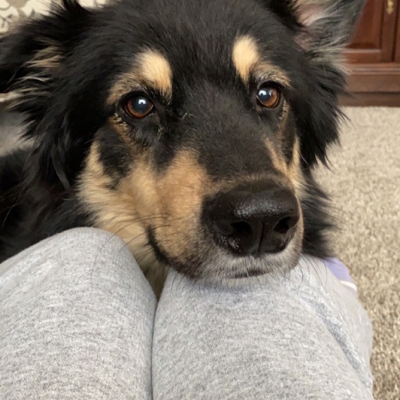 Meet your Posher, Rachel - Picture 3 of 3